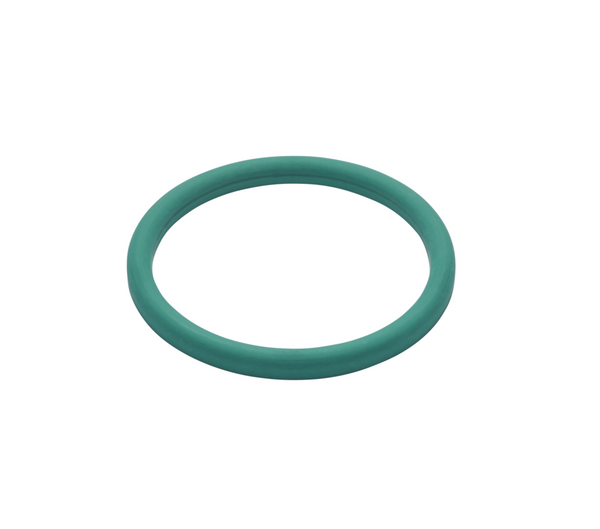 GASKET G DN100 FPM - DIN 11851