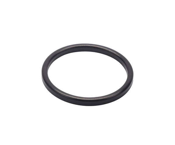 SEAL RING 25 EPDM - DS720